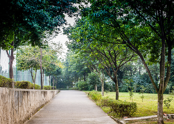 东莞中专职业学校学什么技术吃香（解析中专数字影像技术就业前景）