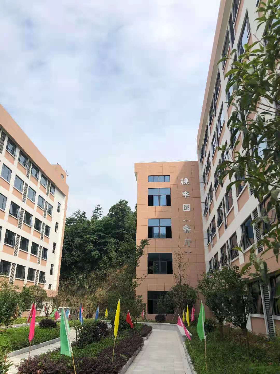 职业学校是大专还是中专？