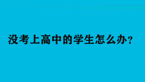 没考上高中的学生怎么办